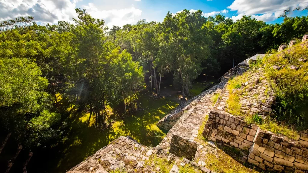 Reserva de la Biosfera de Balam Kú | Balam Kú Biosphere Reserve