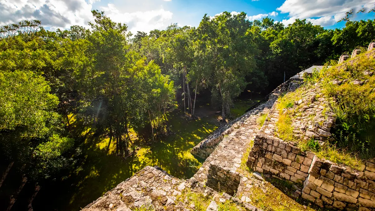 Reserva de la Biosfera de Balam Kú | Balam Kú Biosphere Reserve