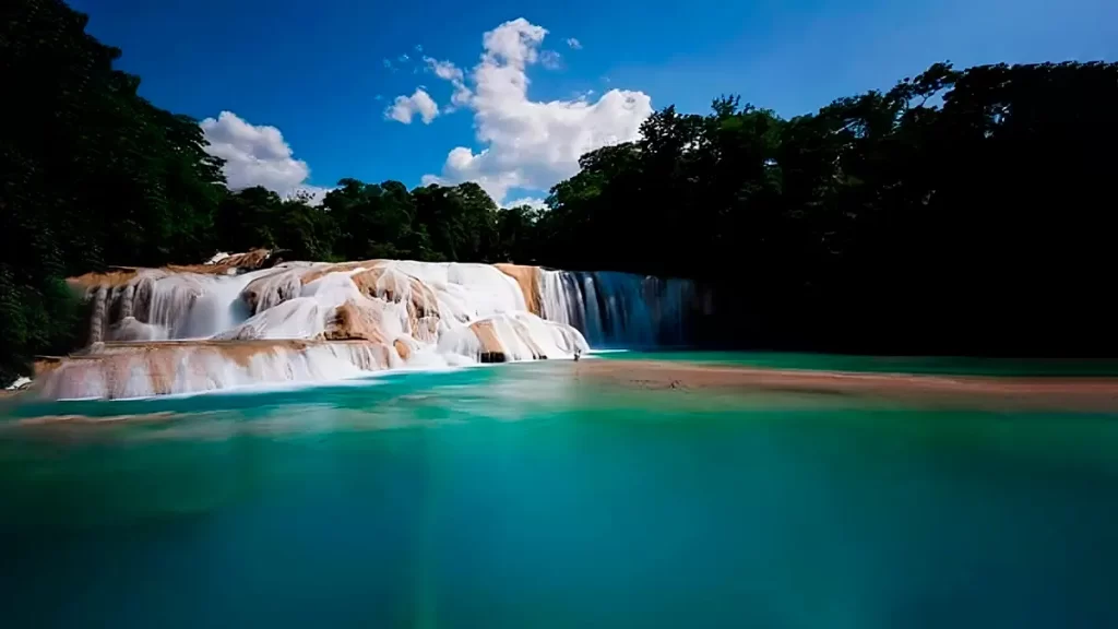 Reserva de la Biosfera Montes Azules | Montes Azules Biosphere Reserve