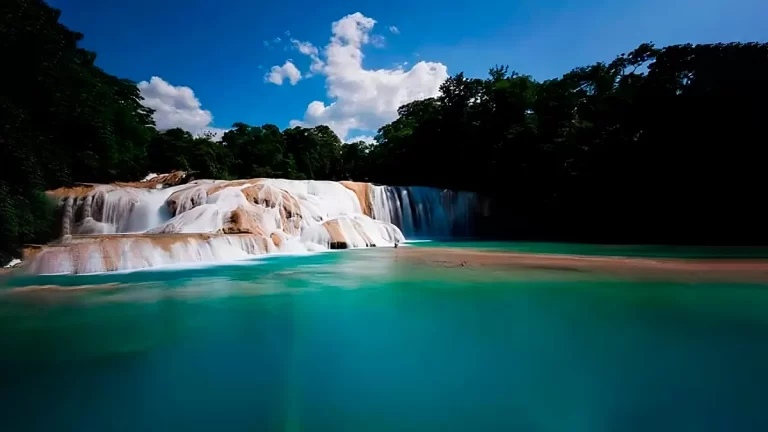 Reserva de la Biosfera Montes Azules | Montes Azules Biosphere Reserve